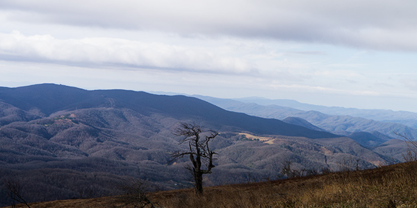 looking off whitetop mountain.